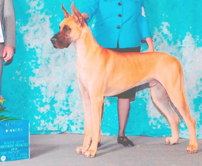 Milo-WD & BOW Specialty